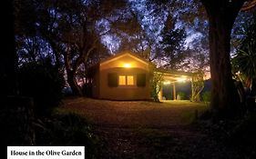 House In The Olive Garden