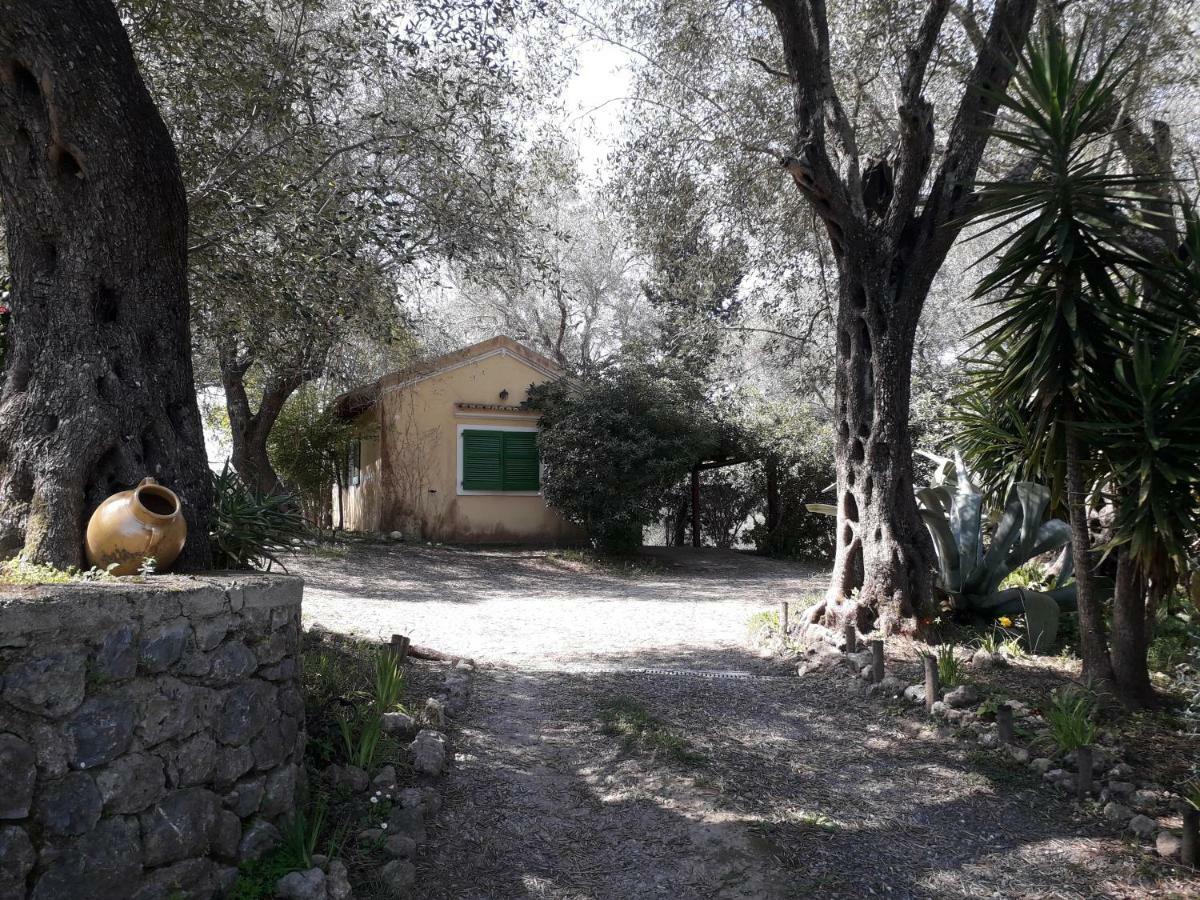 Appartement House In The Olive Garden à Ágios Ioánnis Extérieur photo