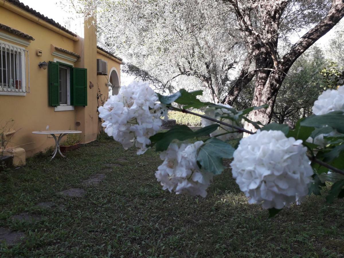 Appartement House In The Olive Garden à Ágios Ioánnis Extérieur photo